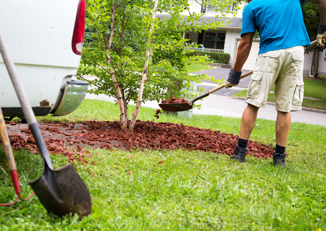 Spring landscape cleanup 