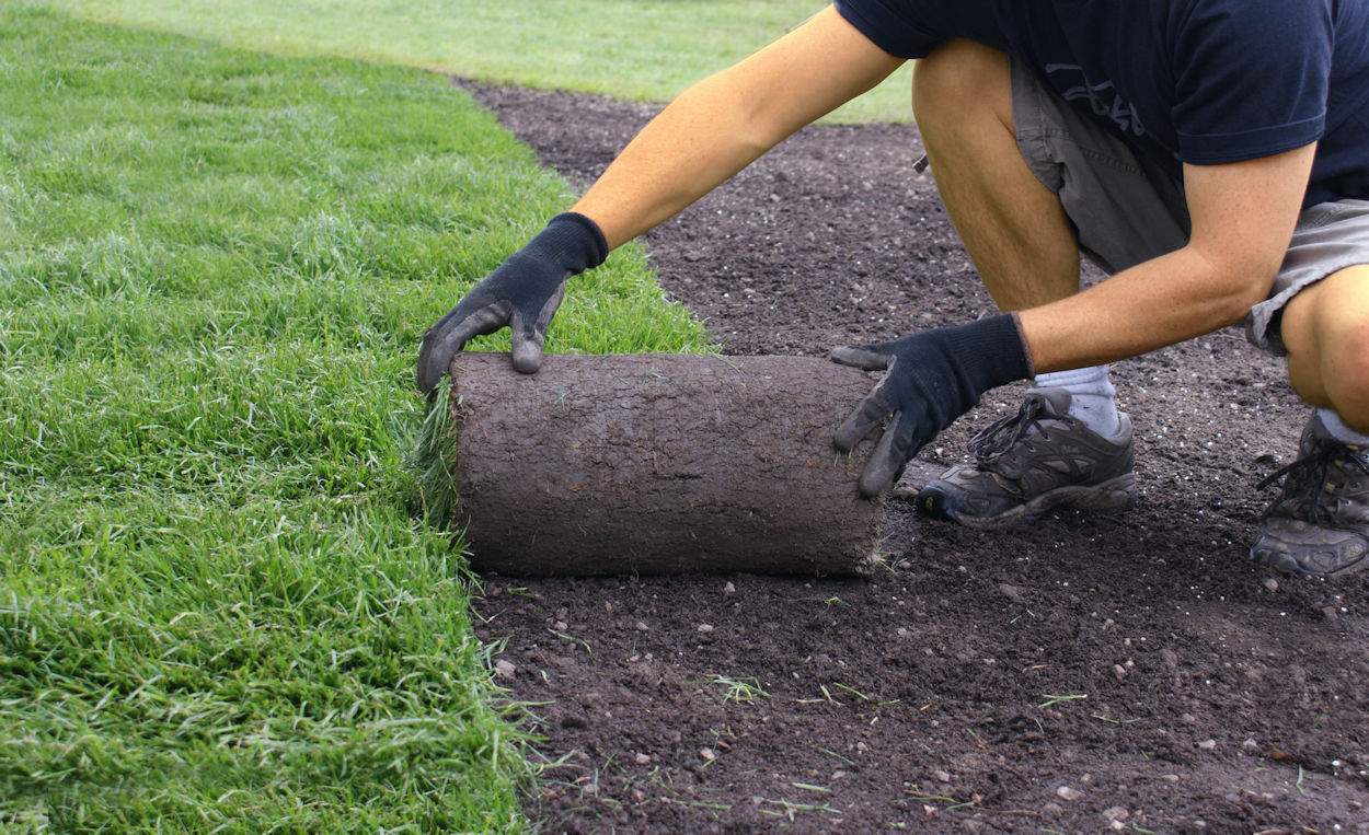 Laying sod